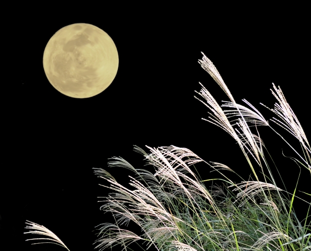 日本人の奥ゆかしさと真面目さを表す「月が綺麗ですね」