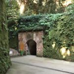 無人島の空気〜横須賀の猿島へフェリーで行ってみた〜