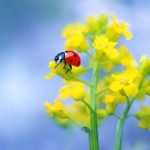 自分を認めるための３つの方法〜ありのままの自分を認められるようになる〜