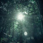 エフィカシーとは？エフィカシーを高める２つの方法