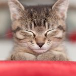 心の居場所をつくる方法〜モノからはじめよう〜