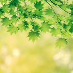 モノから始まる、心の居場所づくり〜準モノ編〜