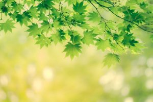 モノから始まる、心の居場所づくり〜準モノ編〜