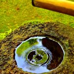 仕事の成功の引き寄せ方〜素晴らしいレベル〜