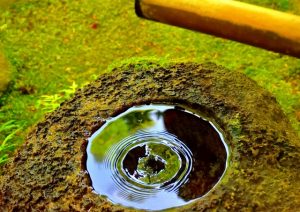 仕事の成功の引き寄せ方〜素晴らしいレベル〜