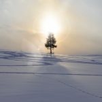 折れない心の作り方〜ことばノートがこころを救う〜