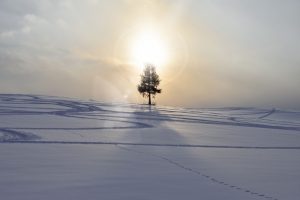 折れない心の作り方〜ことばノートがこころを救う〜