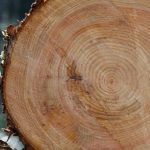 継続力を高めるコツ〜延べ&累計法〜