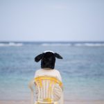 【大丈夫】「やりたいことがあるのに、できない」【感情のコップの話】