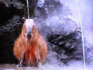 考えすぎてしまう性格の僕はツムツムをやった〜ながら思考法で成功〜