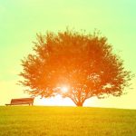 『オレンジレッスン』(犬飼ターボ著)と出合って2000日〜成功と成幸の道しるべ〜