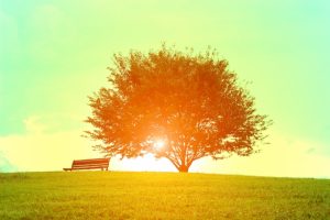 『オレンジレッスン』(犬飼ターボ著)と出合って2000日〜成功と成幸の道しるべ〜