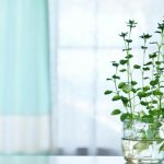 引き寄せの法則のコツ<知ってすぐの頃・引き寄せ初学者編>