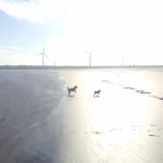 量的セルフイメージと質的セルフイメージ