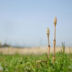 感受性が豊かで心優しい人のための仲間の作り方〜たった1人でいい〜