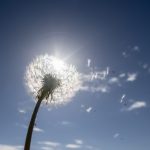 セルフイメージに合わせた引き寄せの段階的セット法