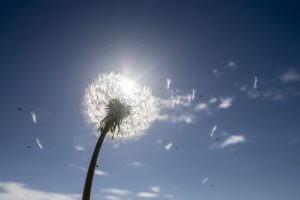 セルフイメージに合わせた引き寄せの段階的セット法